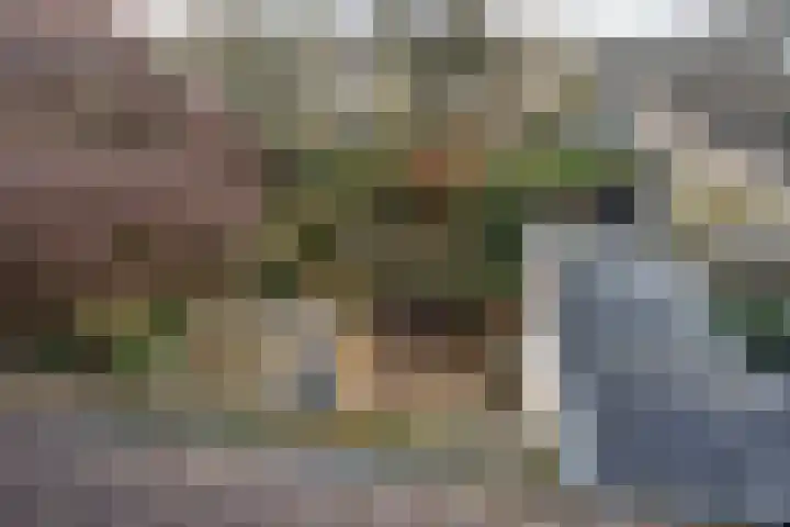 Anna van Saksenlaan 4 Leusden thumbnail 36