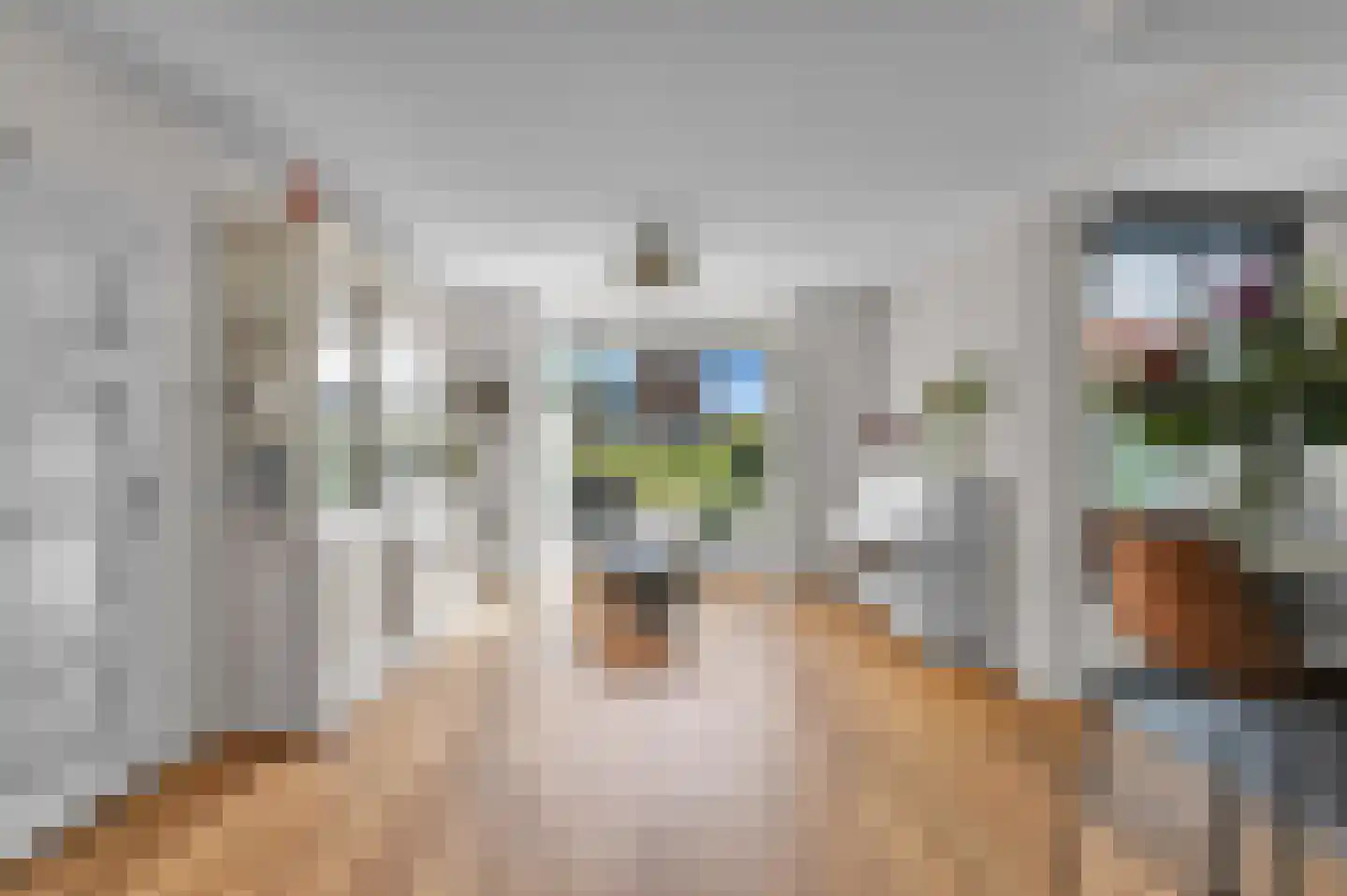 Anna van Saksenstraat 1 Leiderdorp thumbnail 10