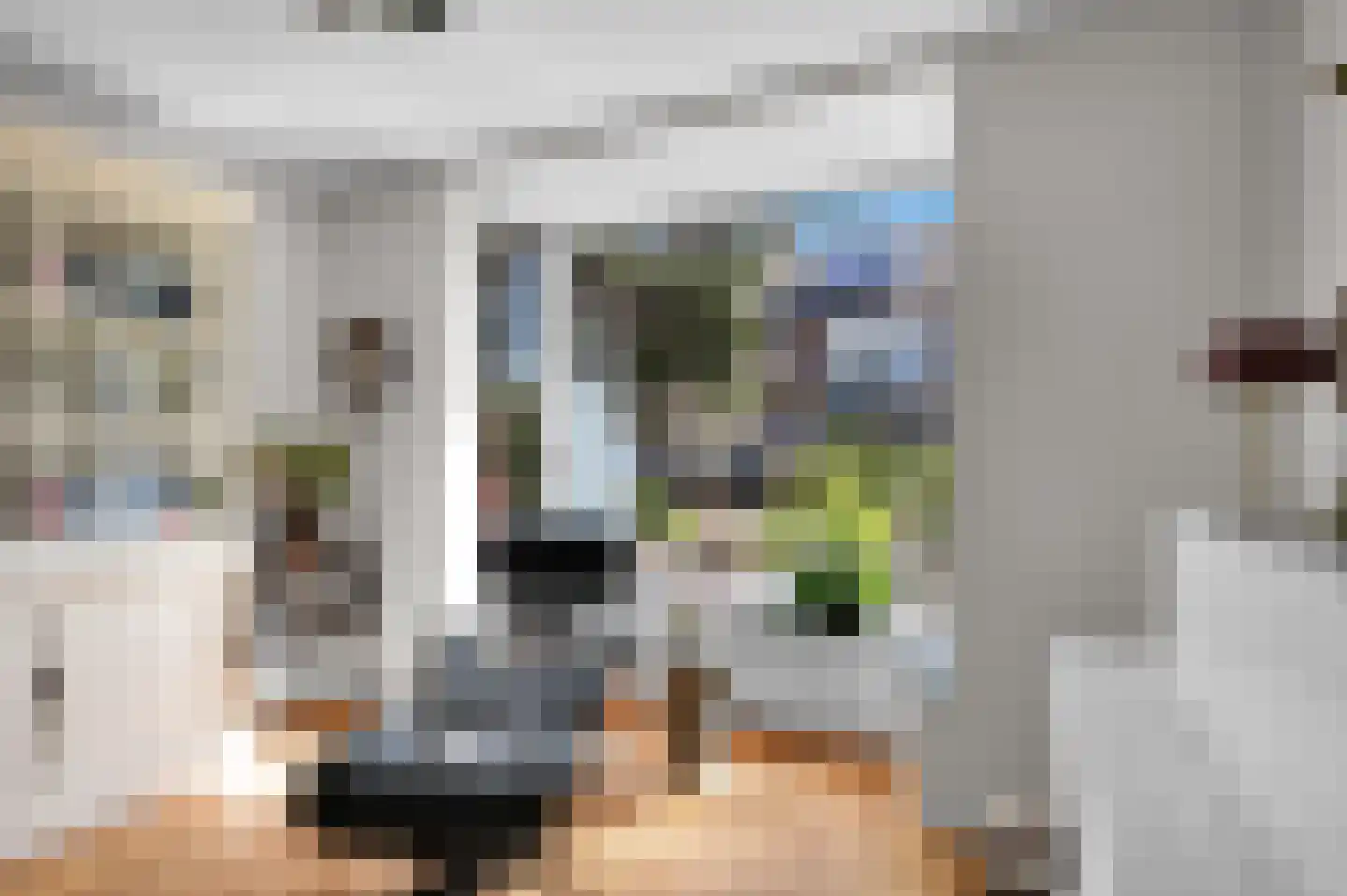 Anna van Saksenstraat 1 Leiderdorp thumbnail 11