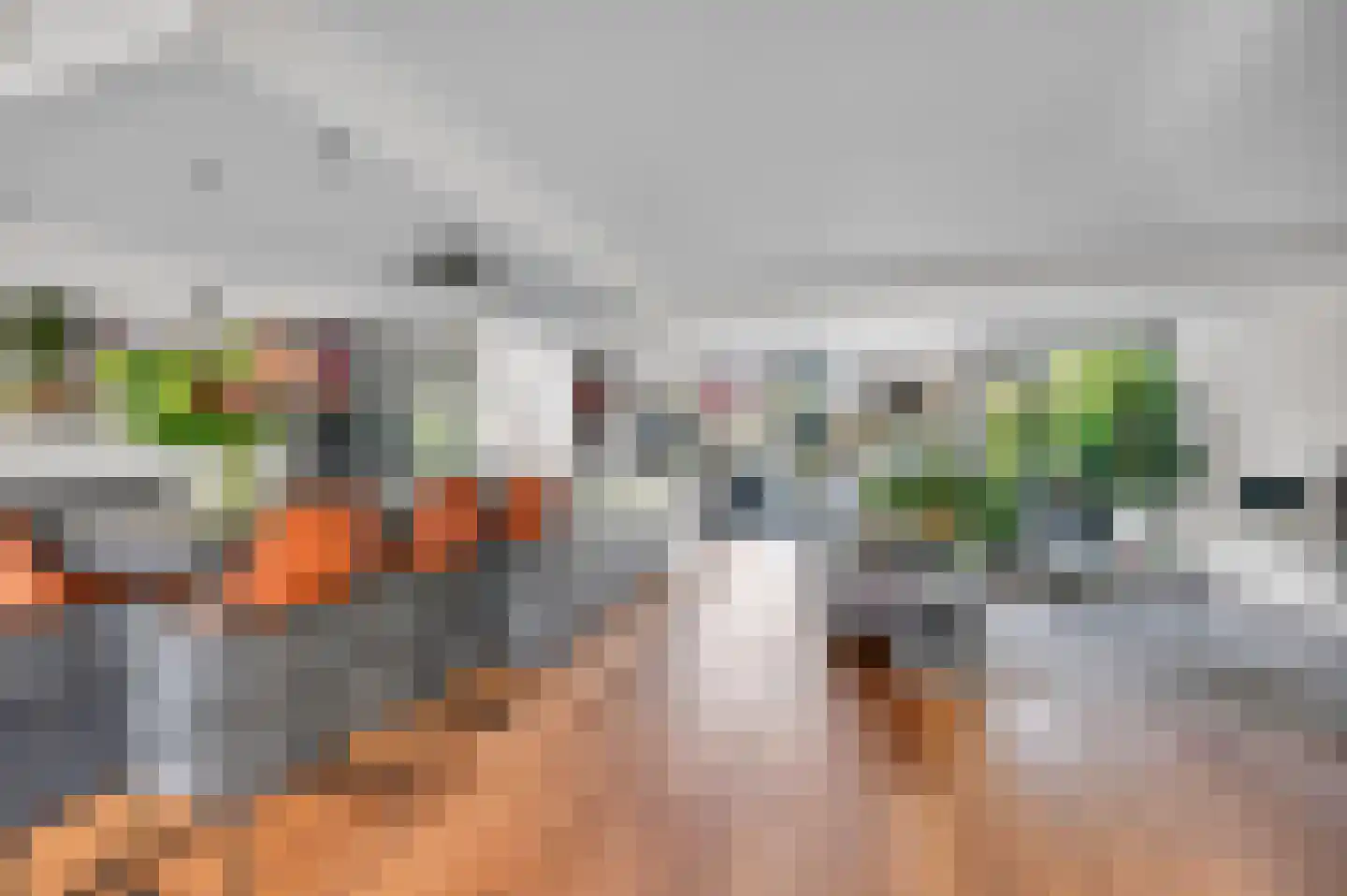 Anna van Saksenstraat 1 Leiderdorp thumbnail 13