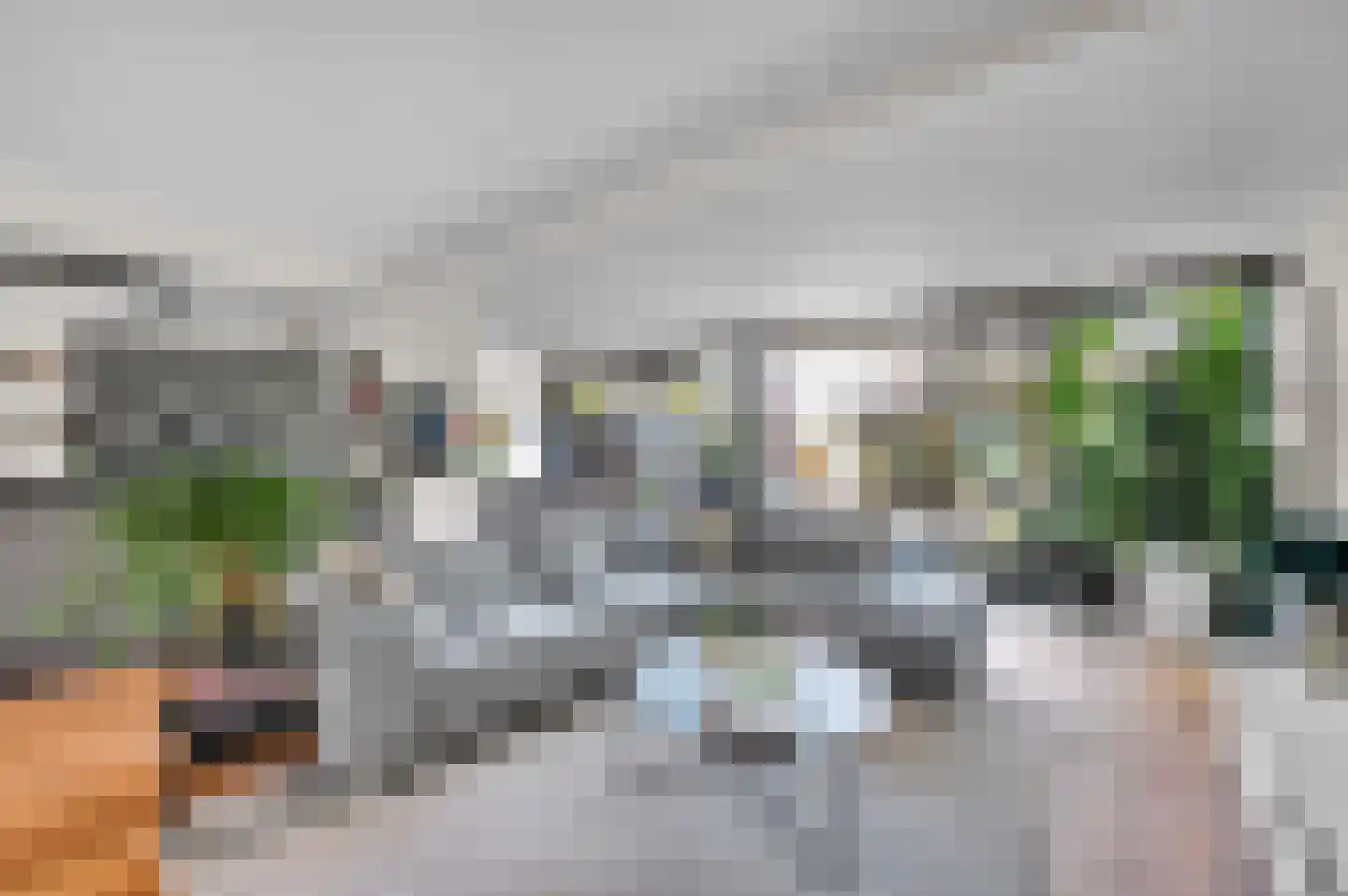 Anna van Saksenstraat 1 Leiderdorp thumbnail 14