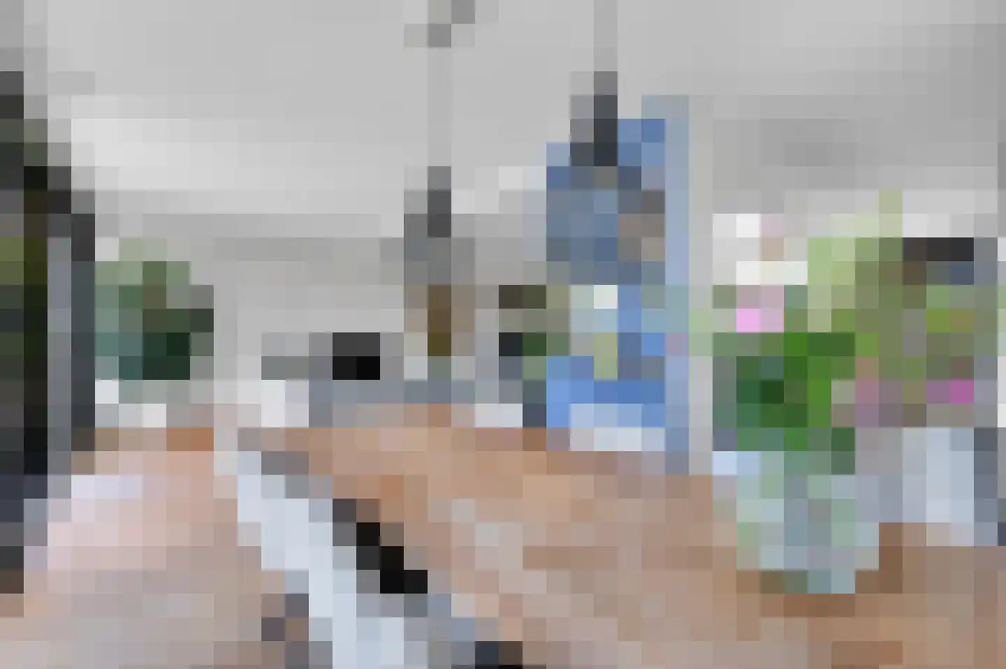 Anna van Saksenstraat 1 Leiderdorp thumbnail 17