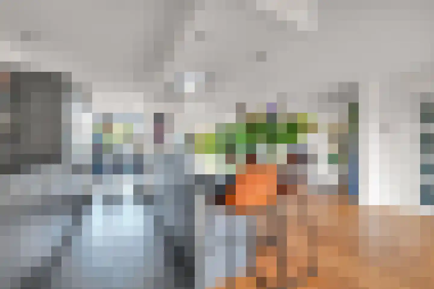 Anna van Saksenstraat 1 Leiderdorp thumbnail 20