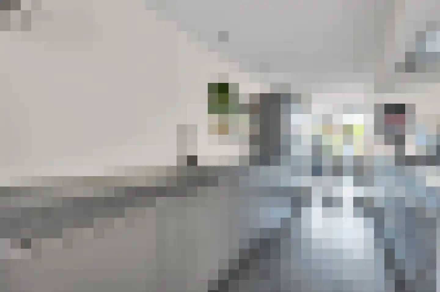 Anna van Saksenstraat 1 Leiderdorp thumbnail 21