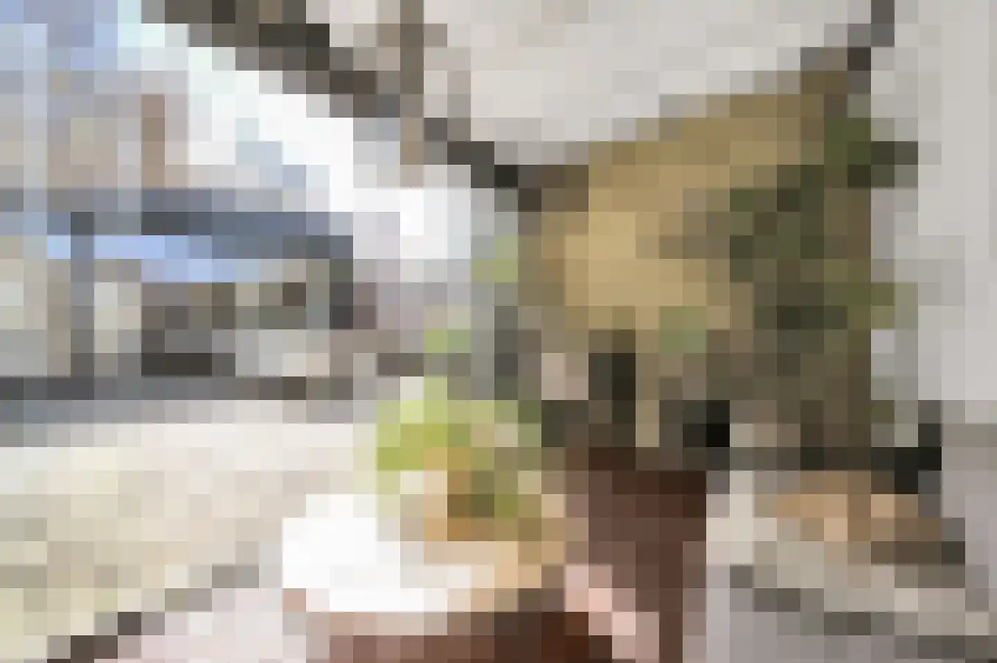 Anna van Saksenstraat 1 Leiderdorp thumbnail 25
