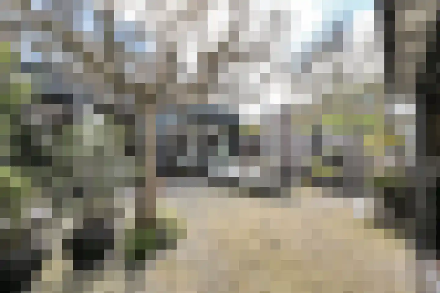 Anna van Saksenstraat 1 Leiderdorp thumbnail 26