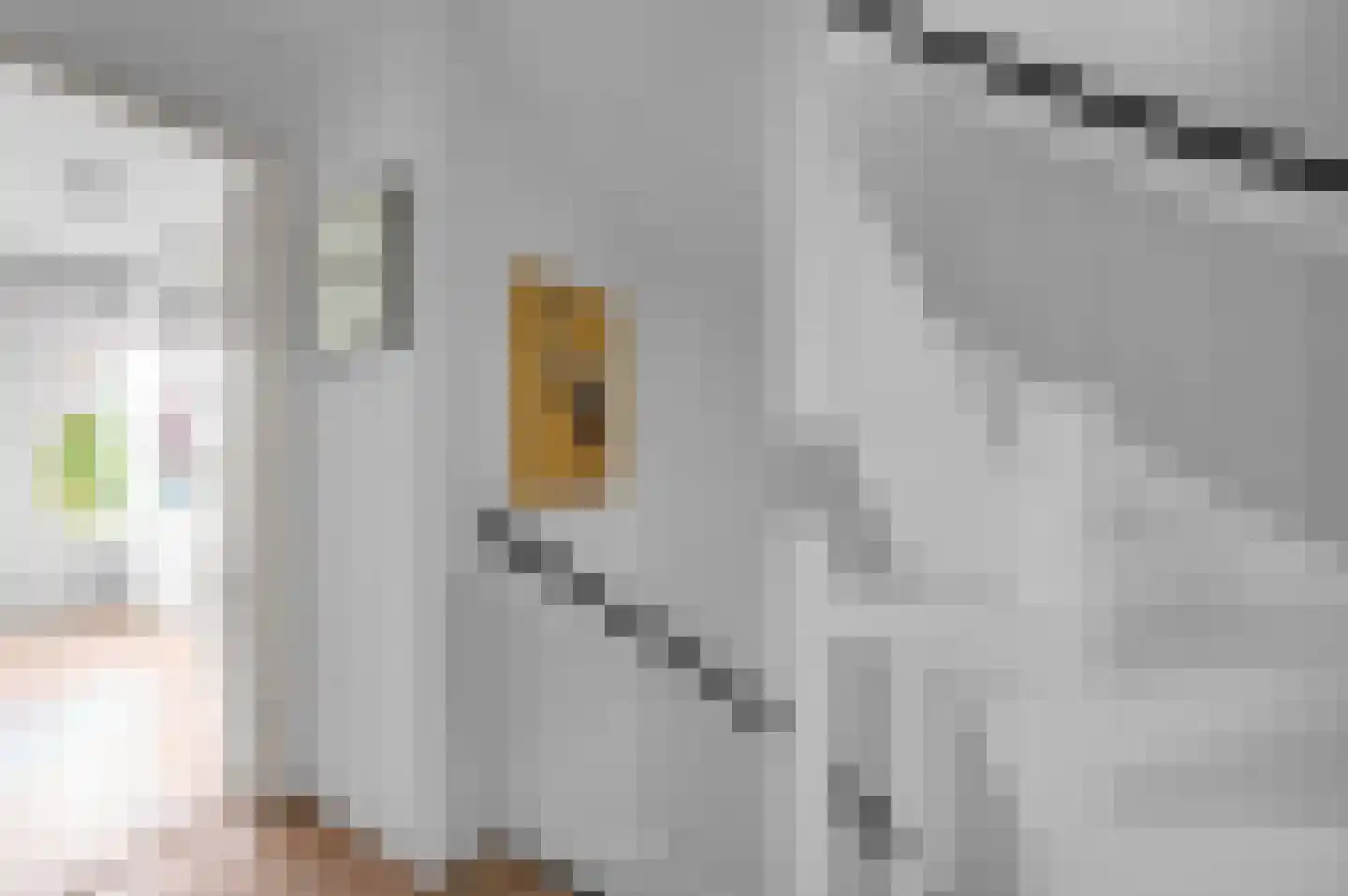 Anna van Saksenstraat 1 Leiderdorp thumbnail 32
