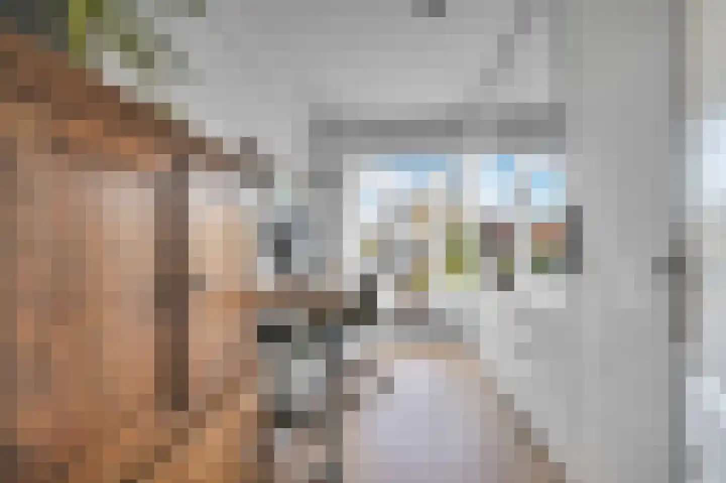 Anna van Saksenstraat 1 Leiderdorp thumbnail 34