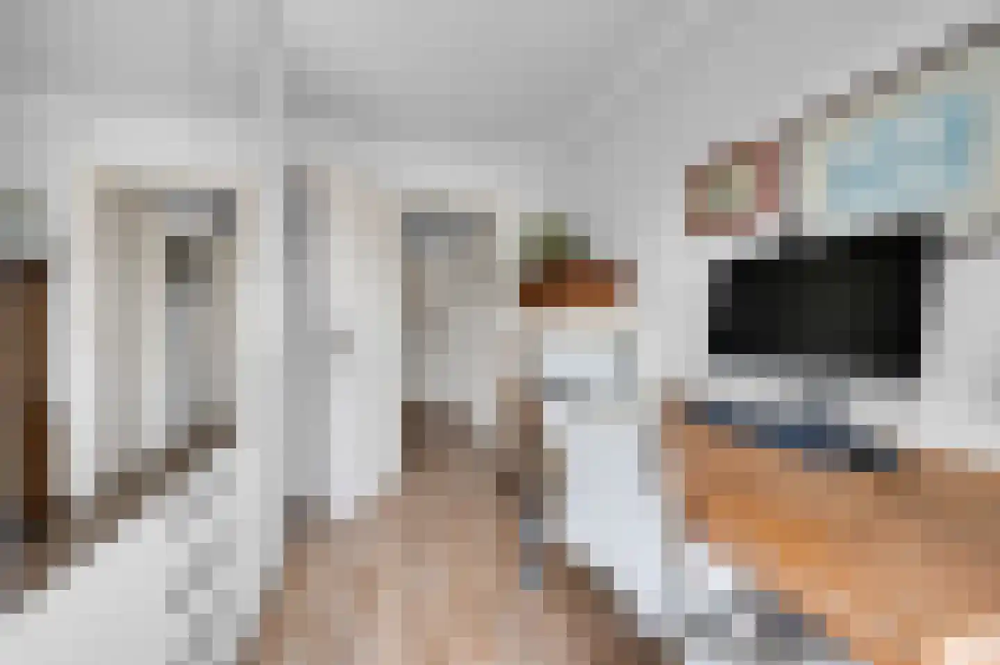 Anna van Saksenstraat 1 Leiderdorp thumbnail 35