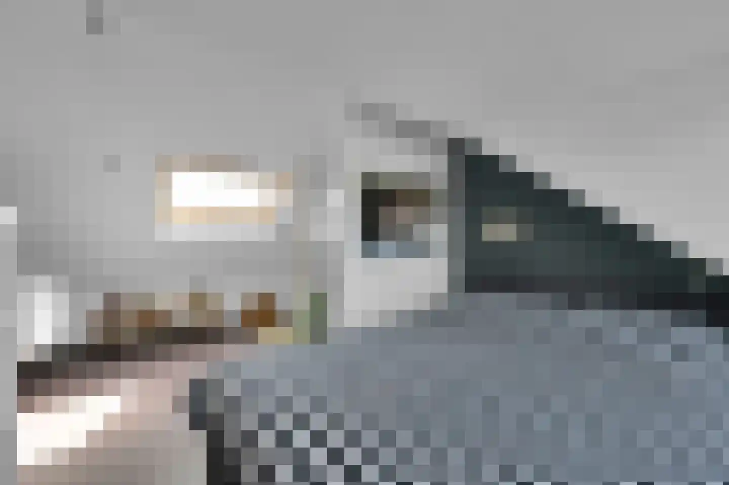 Anna van Saksenstraat 1 Leiderdorp thumbnail 47