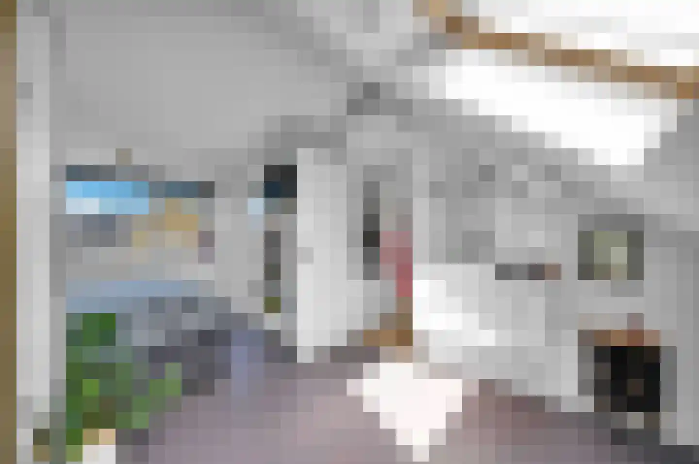 Anna van Saksenstraat 1 Leiderdorp thumbnail 48