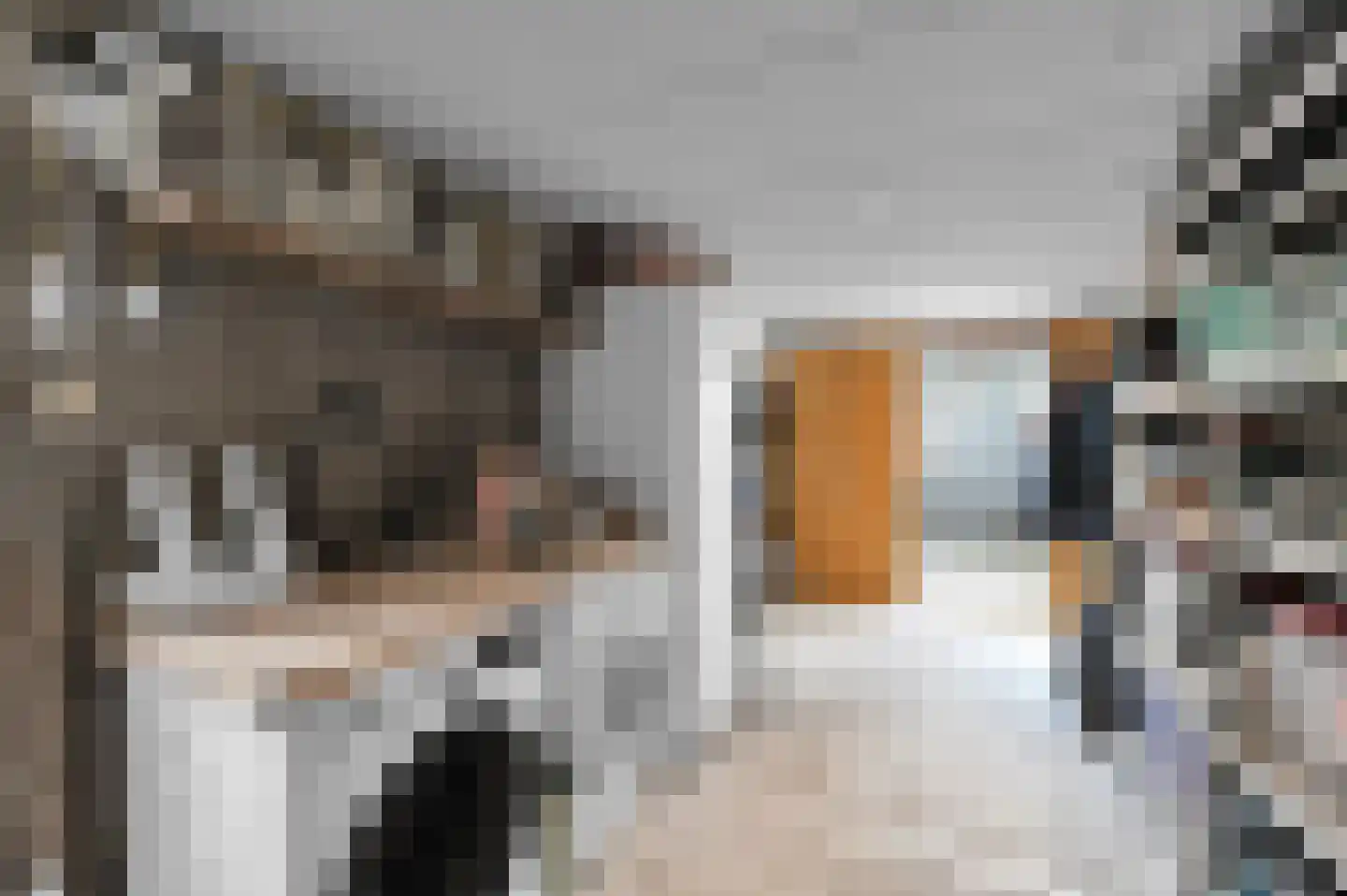 Anna van Saksenstraat 1 Leiderdorp thumbnail 54