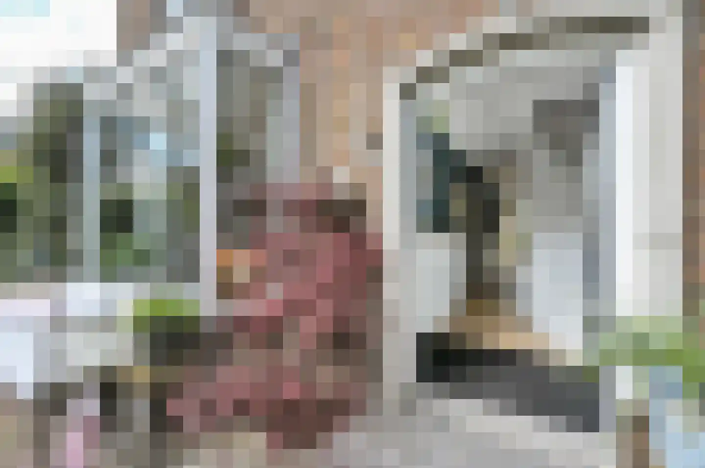 Anna van Saksenstraat 1 Leiderdorp thumbnail 7