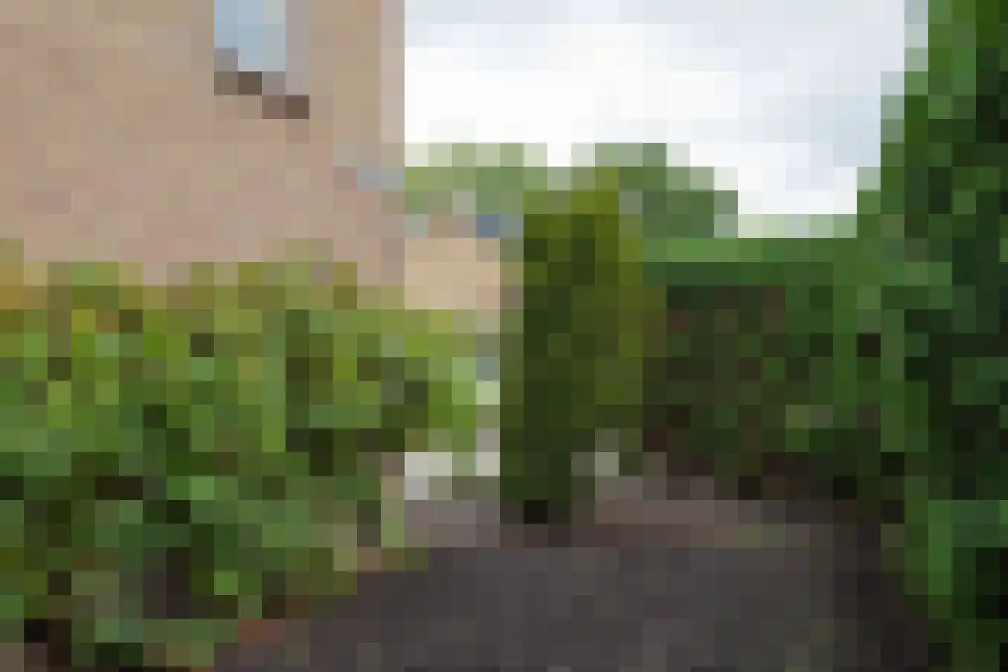 Anna van Saksenstraat 11 Waddinxveen thumbnail 7
