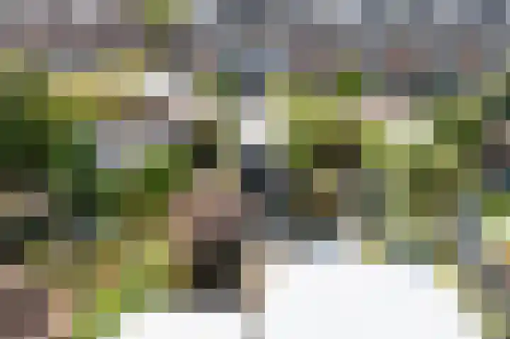 Anna van Saksenstraat 16 Leiderdorp thumbnail 32