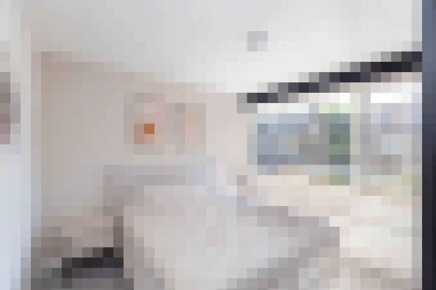 Anna van Saksenstraat 17 Alphen aan den Rijn thumbnail 13