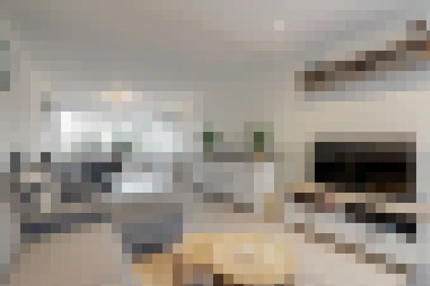 Anna van Saksenstraat 3 Waddinxveen thumbnail 10