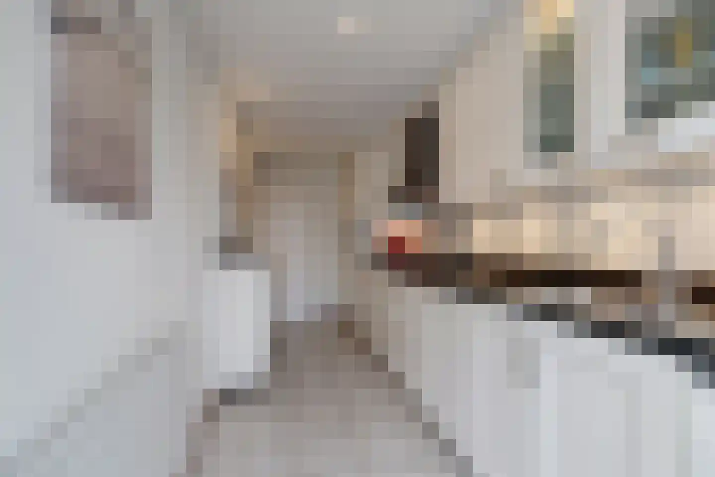 Anna van Saksenstraat 3 Waddinxveen thumbnail 13