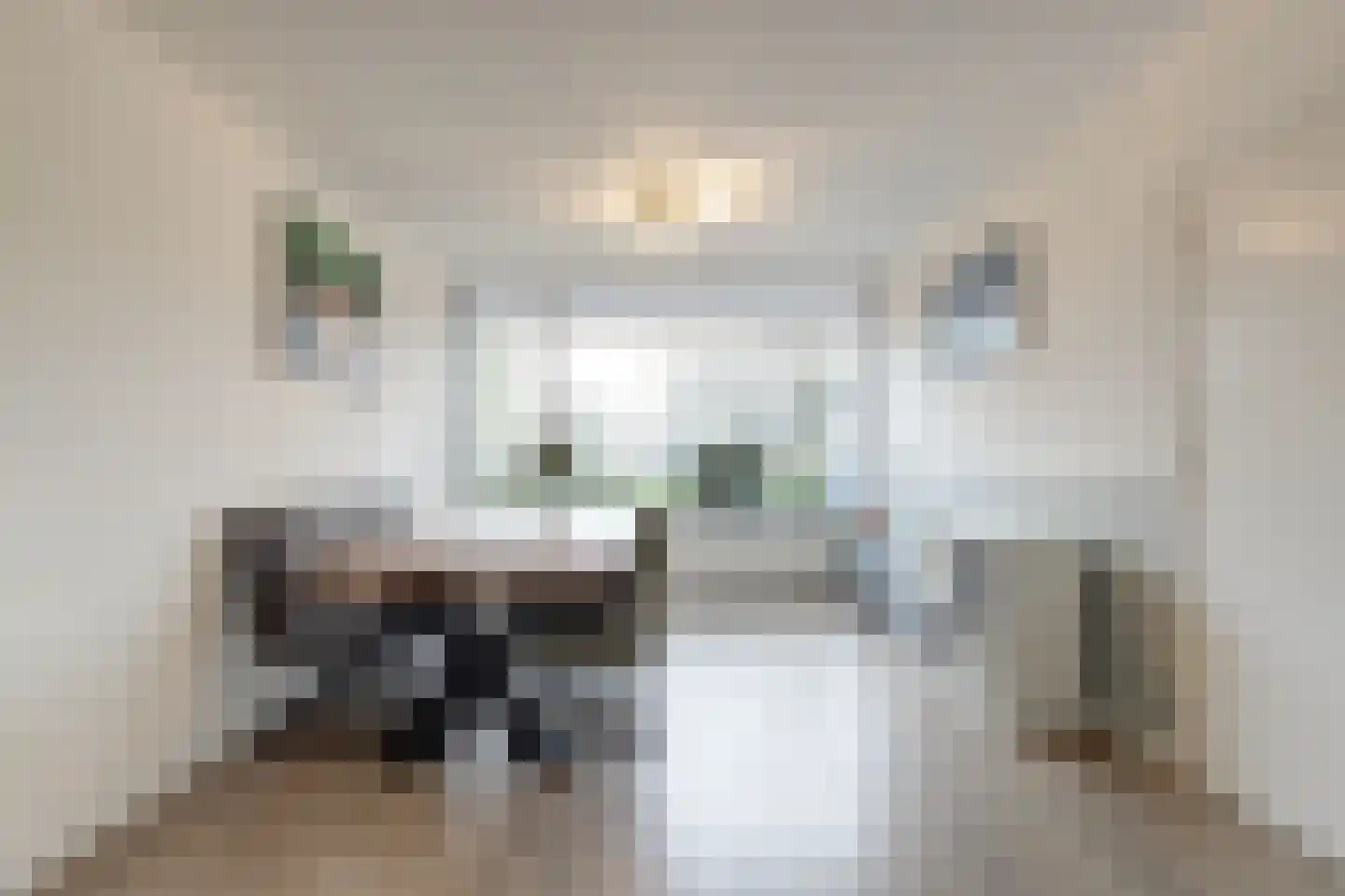 Anna van Saksenstraat 3 Waddinxveen thumbnail 6