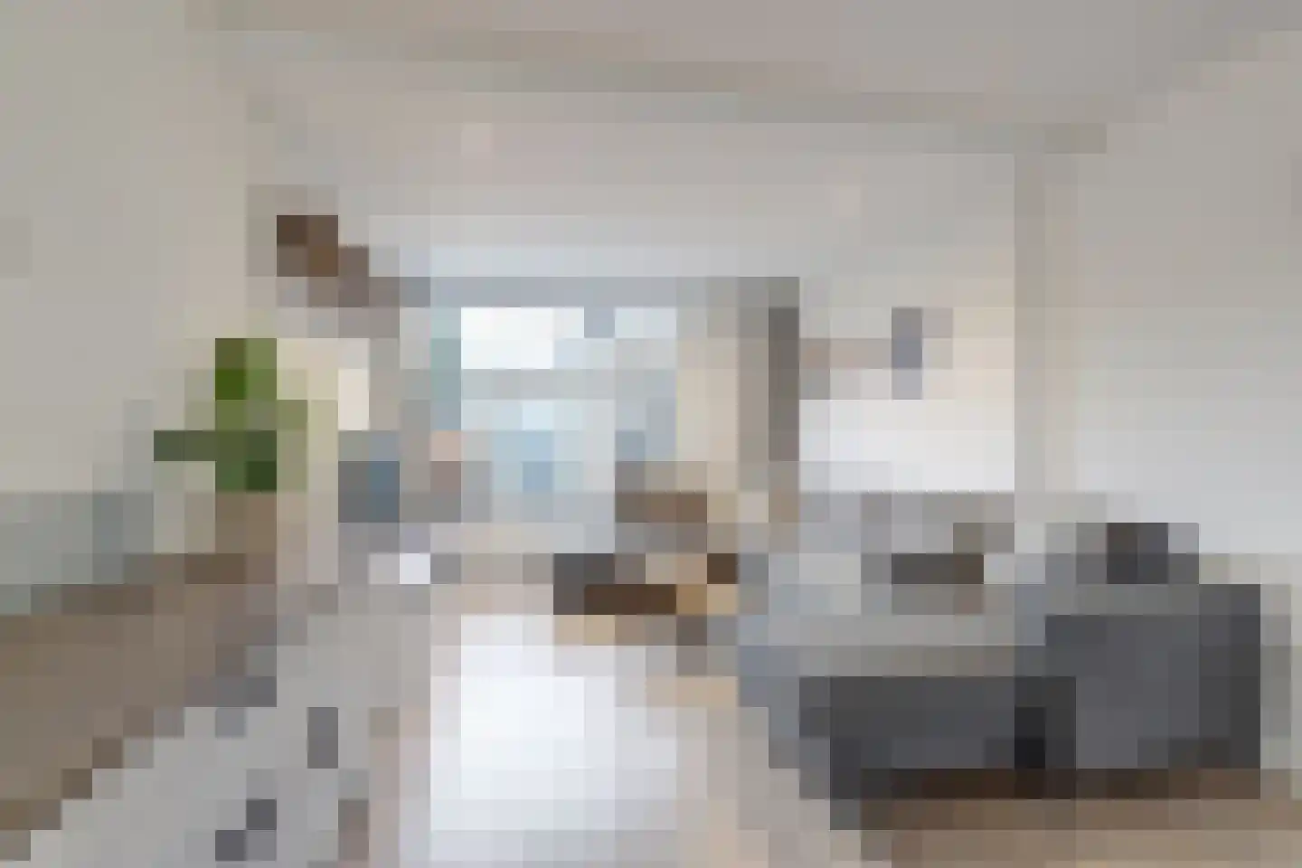 Anna van Saksenstraat 3 Waddinxveen thumbnail 8