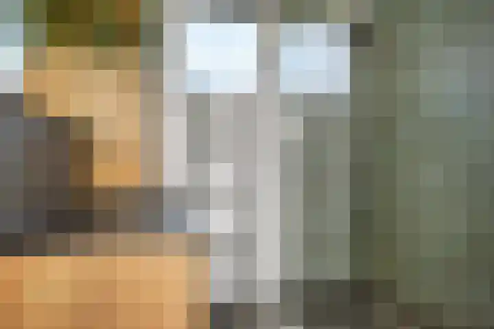 Anna van Saksenstraat 34 Pijnacker thumbnail 19
