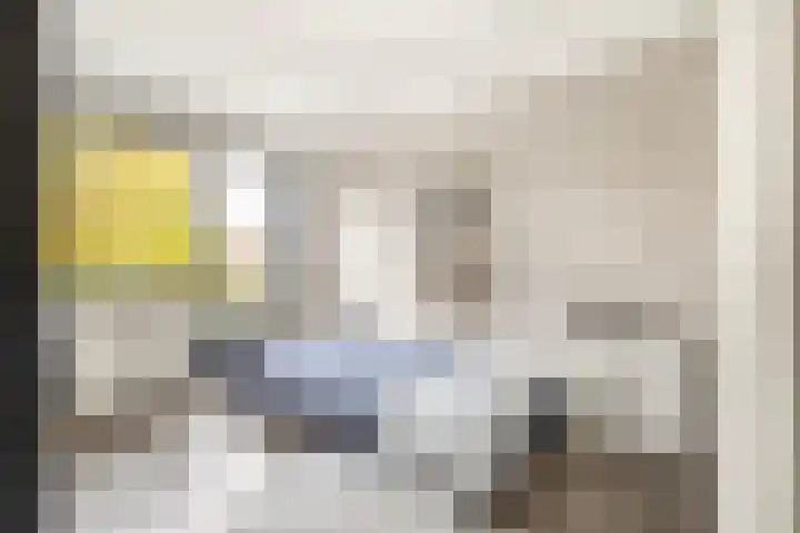 Anna van Saksenstraat 5 Castricum thumbnail 25