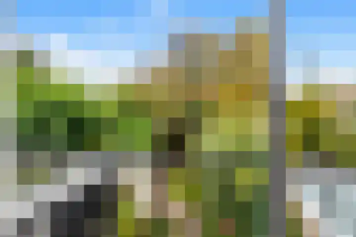 Anna van Saksenstraat 5 Castricum thumbnail 27