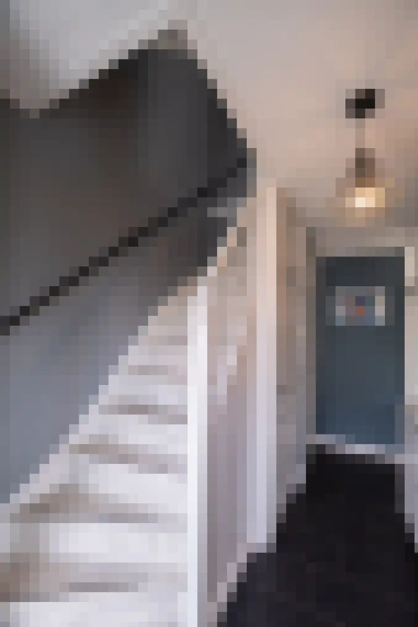 Anna van Saksenstraat 98 Noord-Scharwoude thumbnail 16