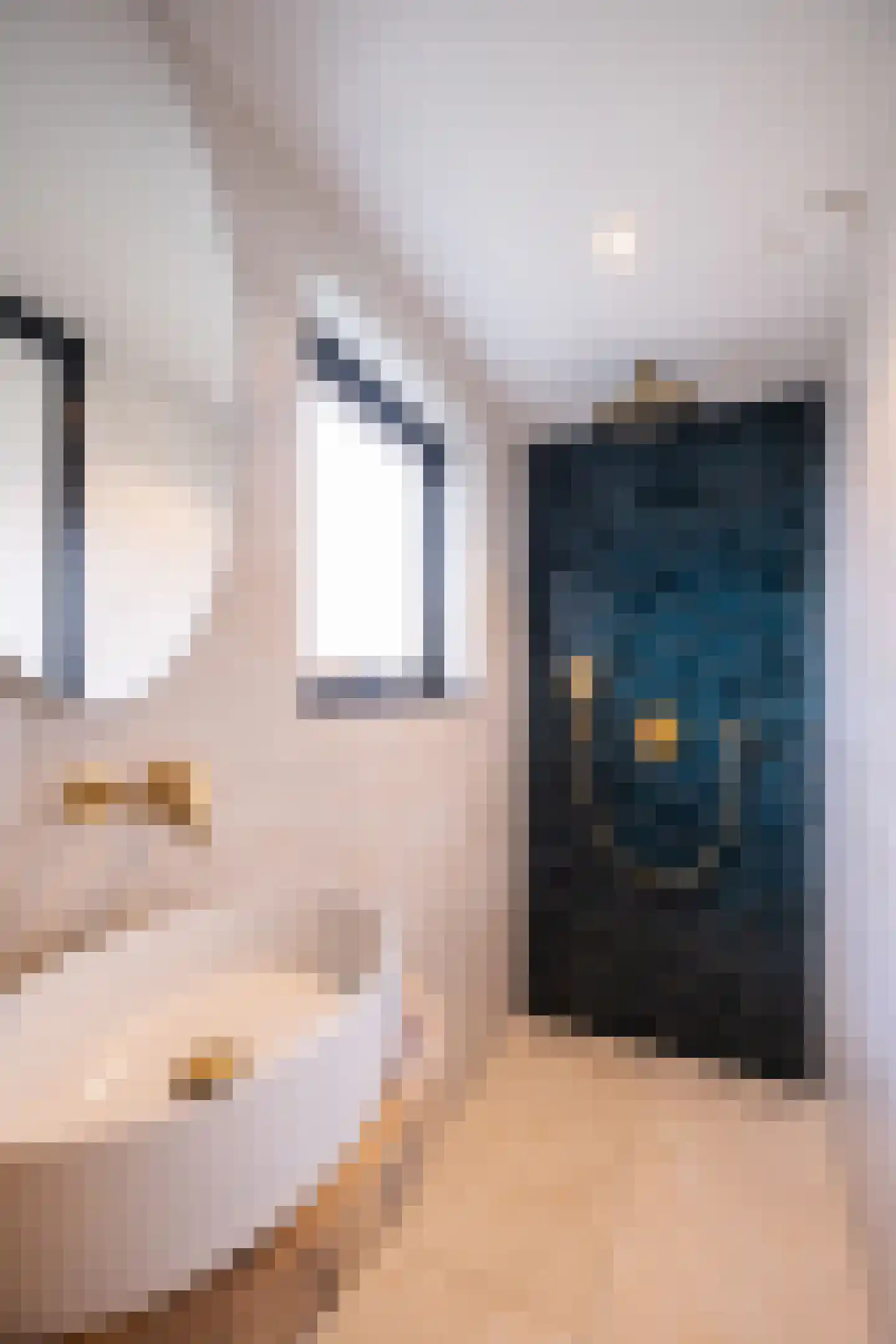 Anna van Saksenstraat 98 Noord-Scharwoude thumbnail 23