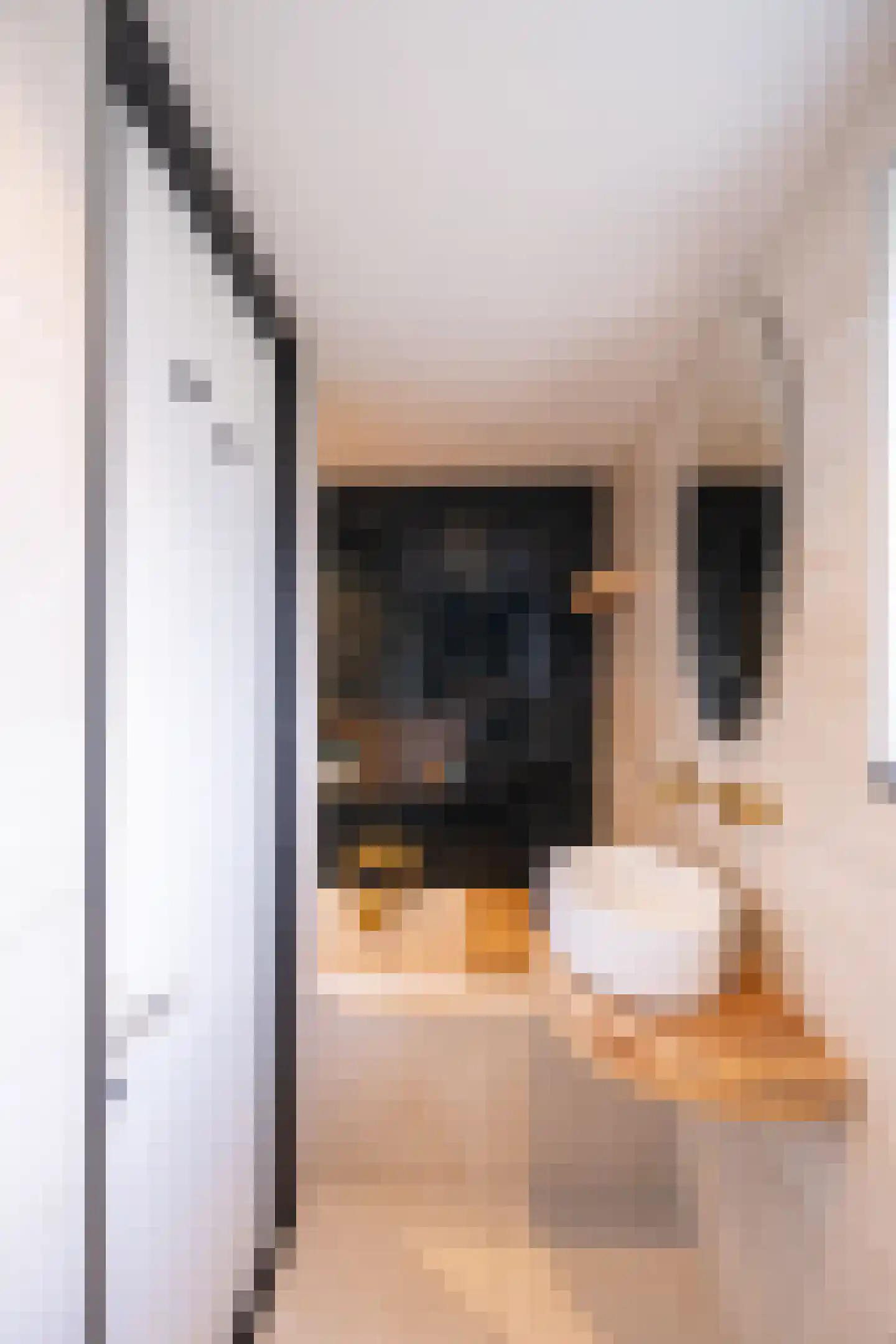 Anna van Saksenstraat 98 Noord-Scharwoude thumbnail 24