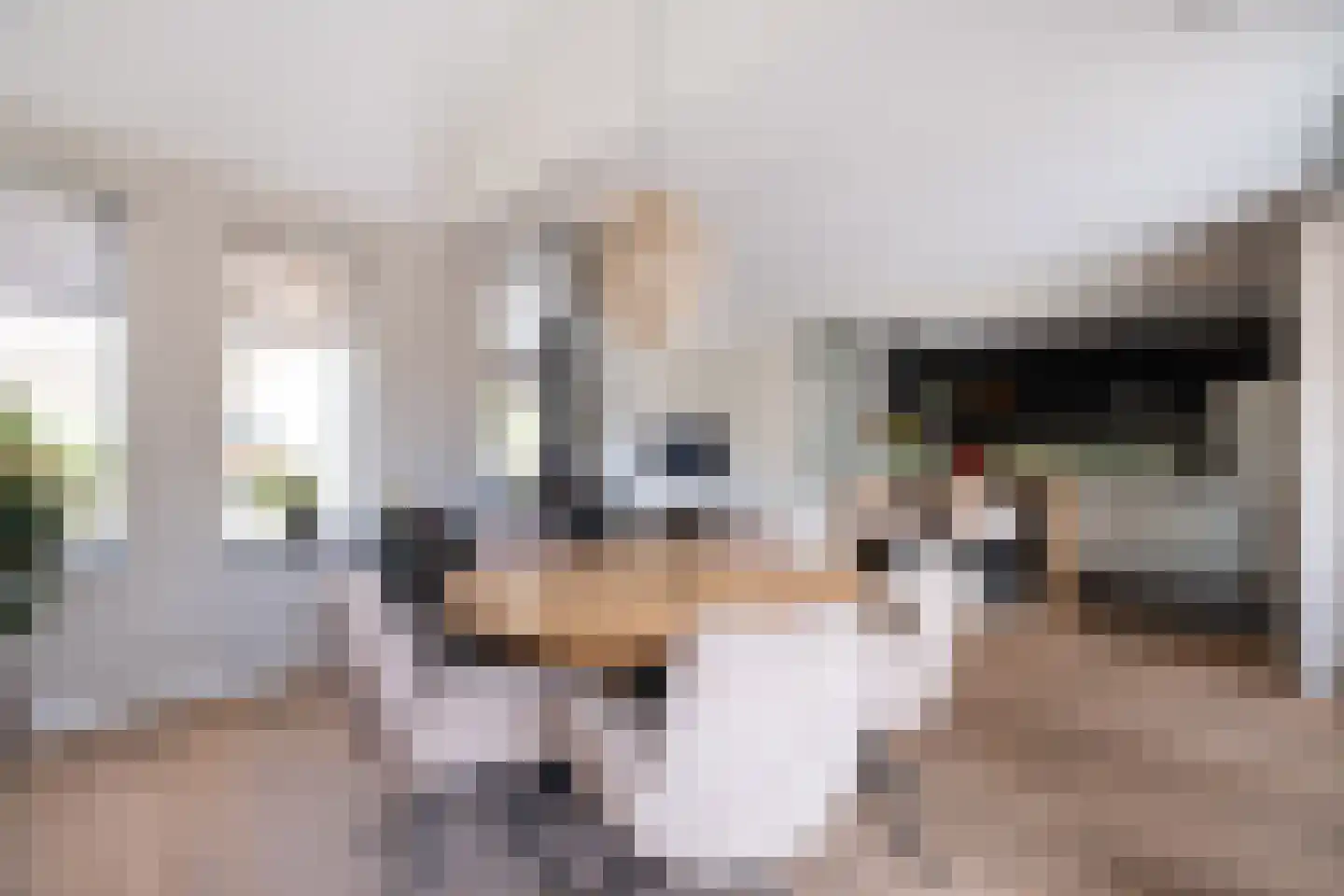 Anna van Saksenstraat 98 Noord-Scharwoude thumbnail 8