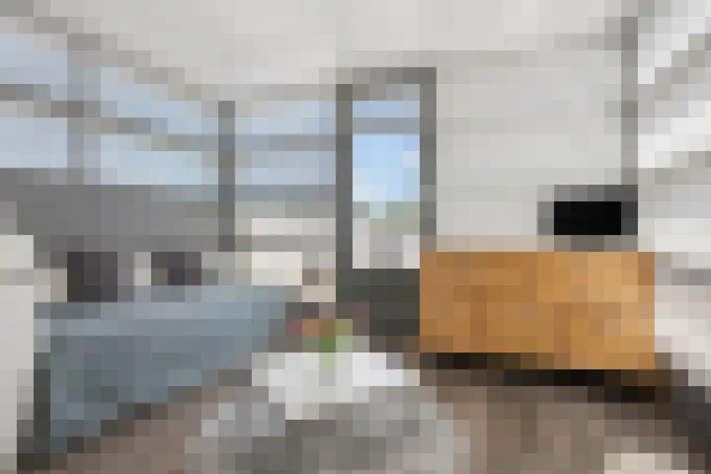 Annabellastraat 19 Nijmegen thumbnail 42
