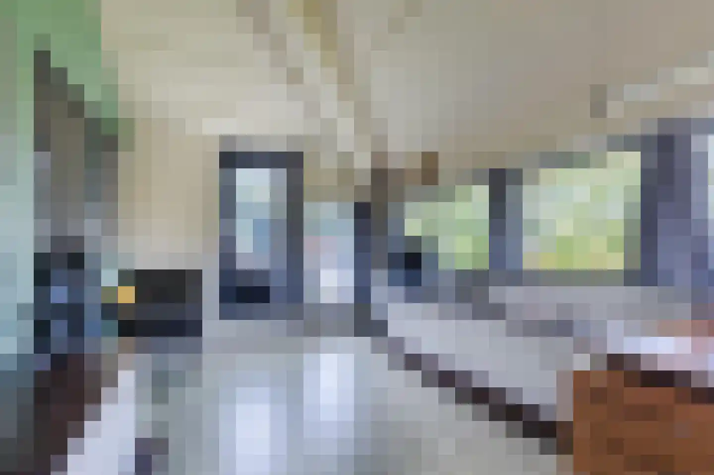 Annabellastraat 21 Nijmegen thumbnail 28