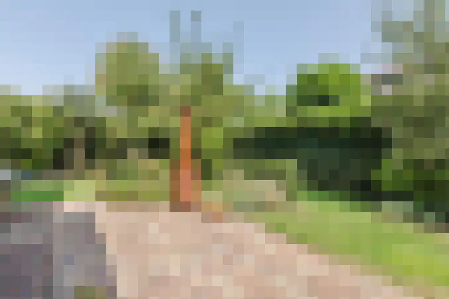 Annabellastraat 21 Nijmegen thumbnail 41