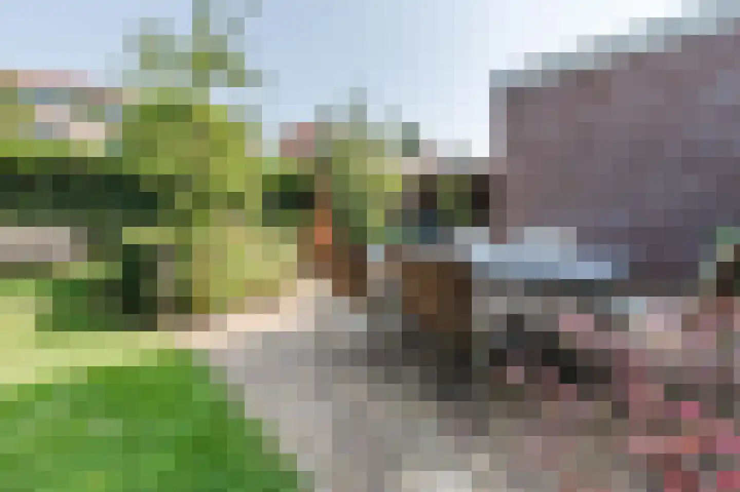 Annabellastraat 21 Nijmegen thumbnail 44