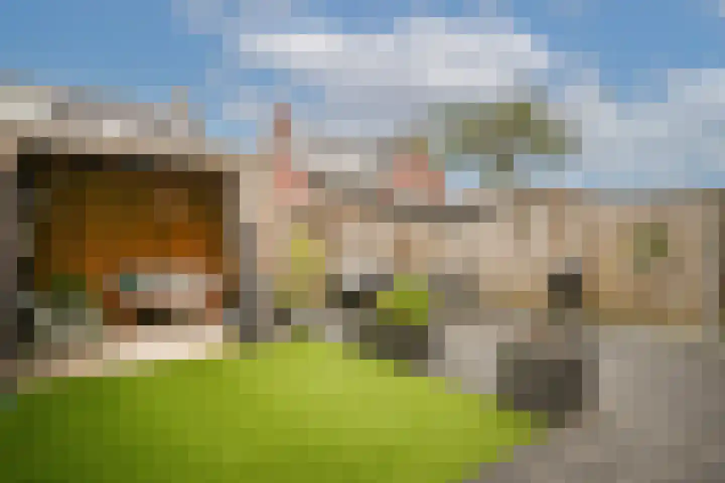 Annabellastraat 30 Kerkdriel thumbnail 31