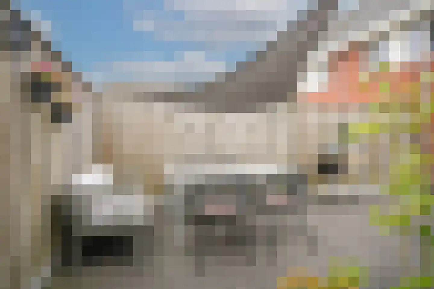 Annabellastraat 30 Kerkdriel thumbnail 38