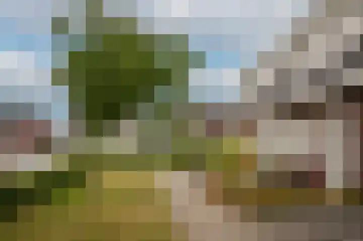 Annabellastraat 38 Kerkdriel thumbnail 33