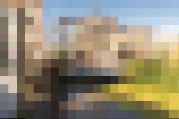Annabellaweg 23 Amsterdam thumbnail 8