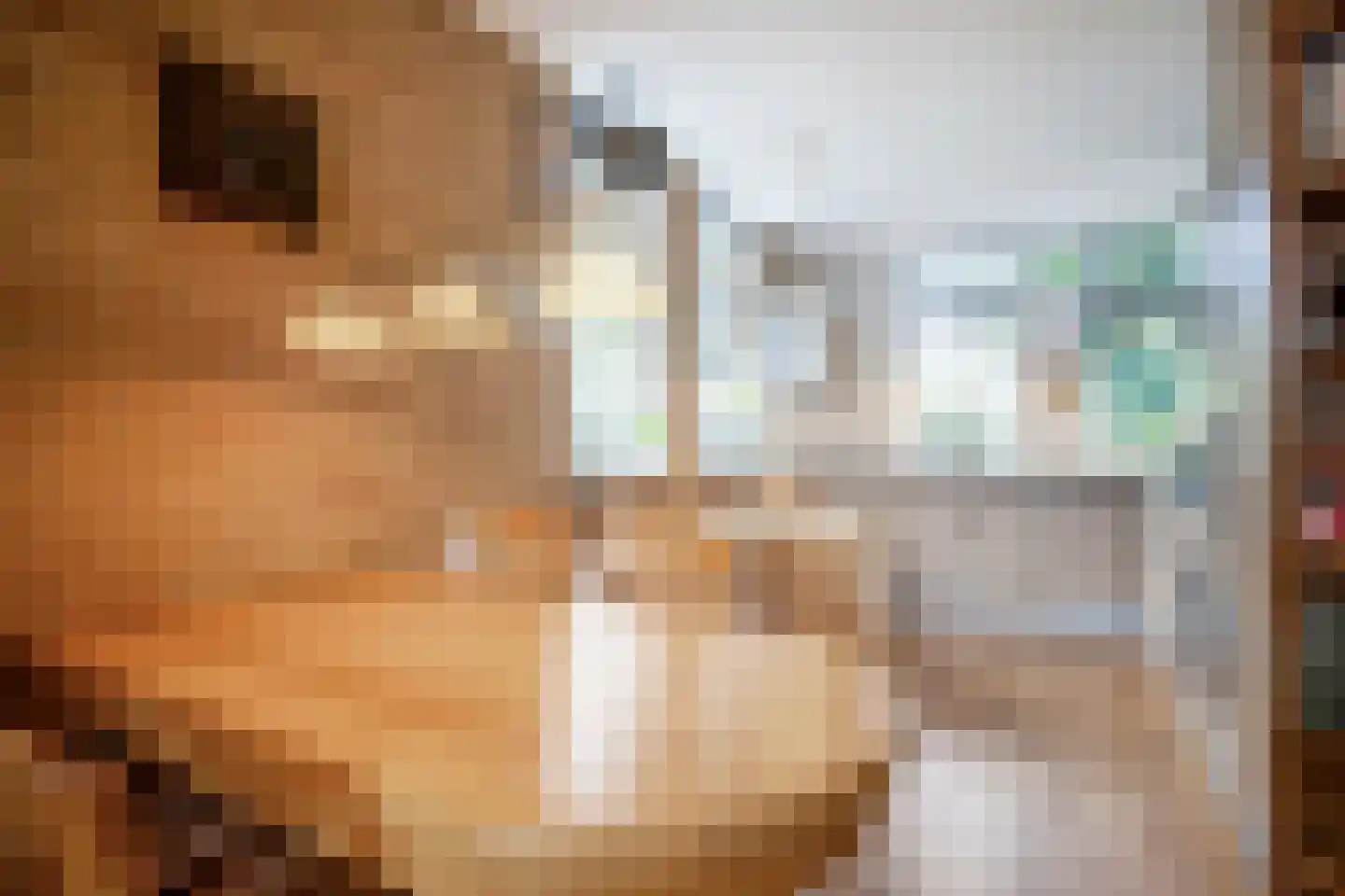 Annadaal 23 Ede thumbnail 10