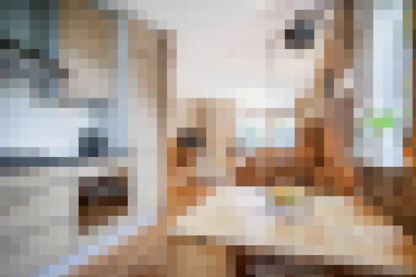 Annadaal 23 Ede thumbnail 12
