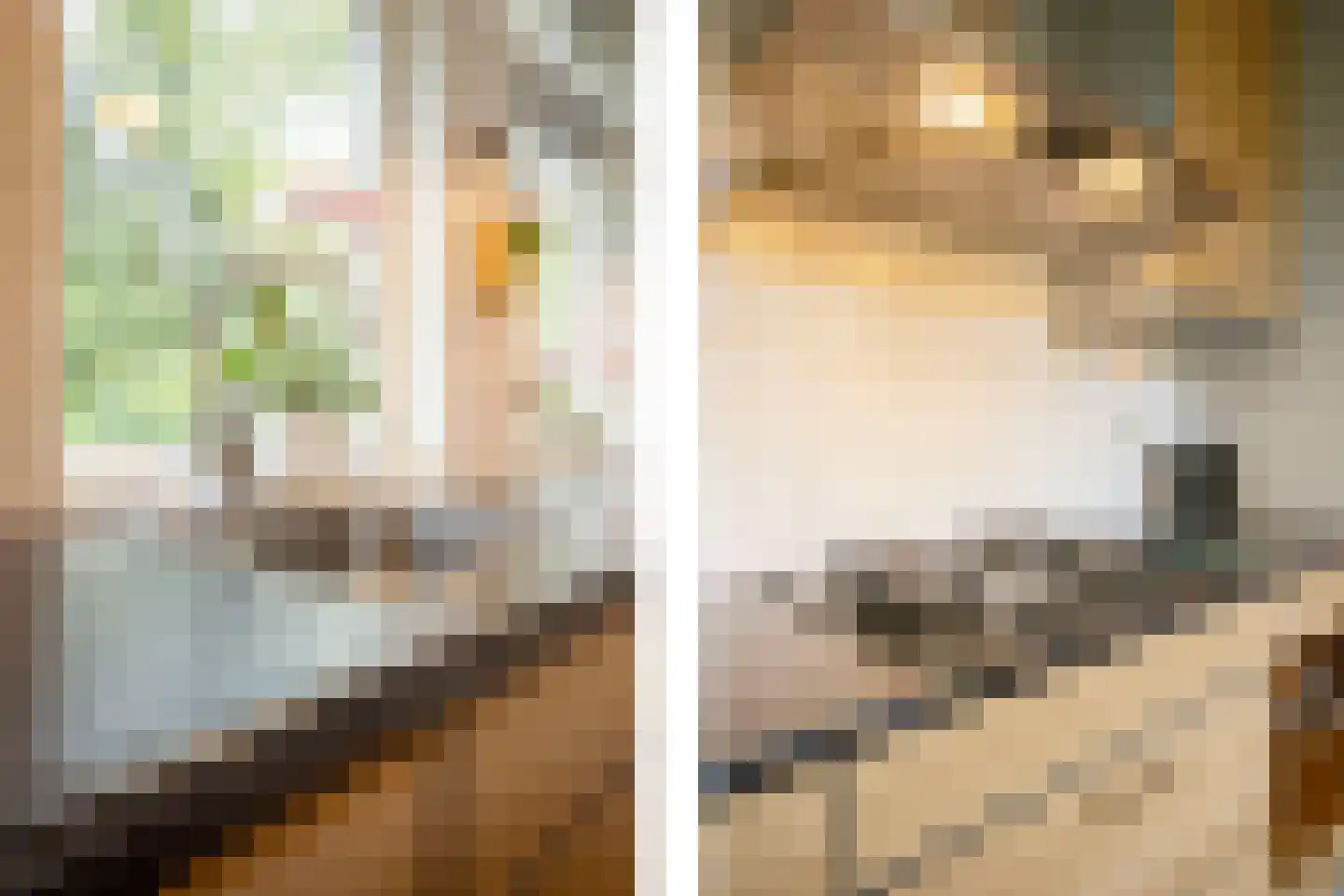 Annadaal 23 Ede thumbnail 13