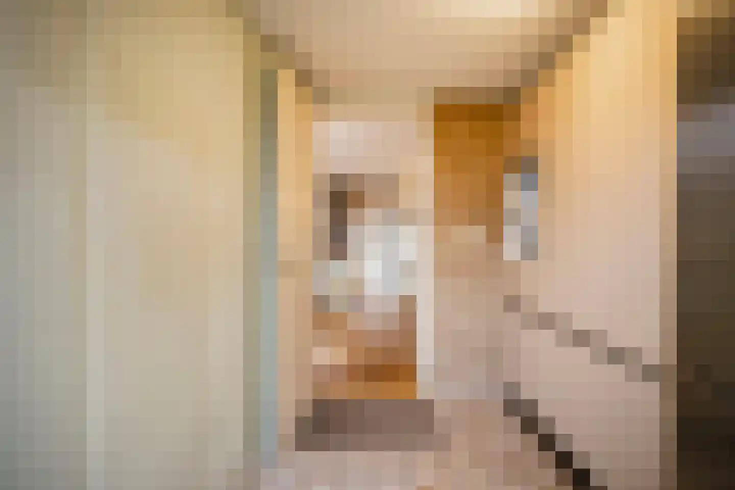 Annadaal 23 Ede thumbnail 14