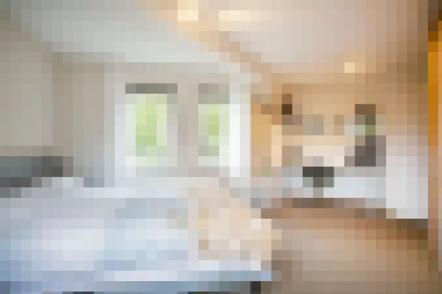 Annadaal 23 Ede thumbnail 18