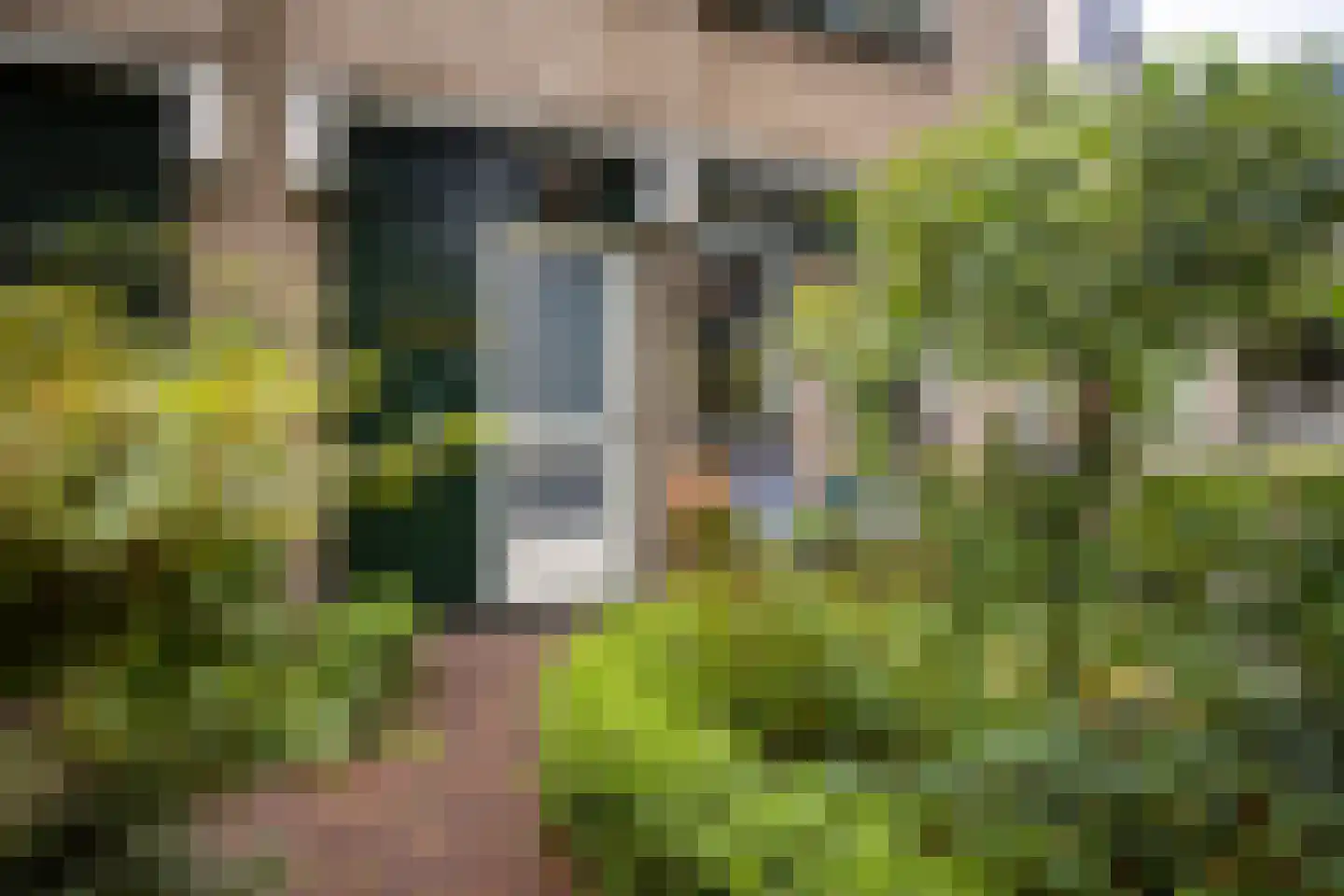 Annadaal 23 Ede thumbnail 41