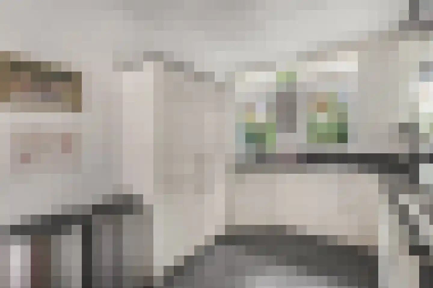 Annadaal 25 Ede thumbnail 11