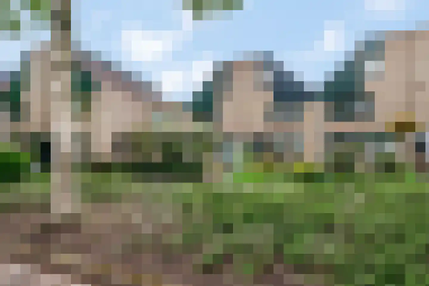 Annadaal 25 Ede thumbnail 44