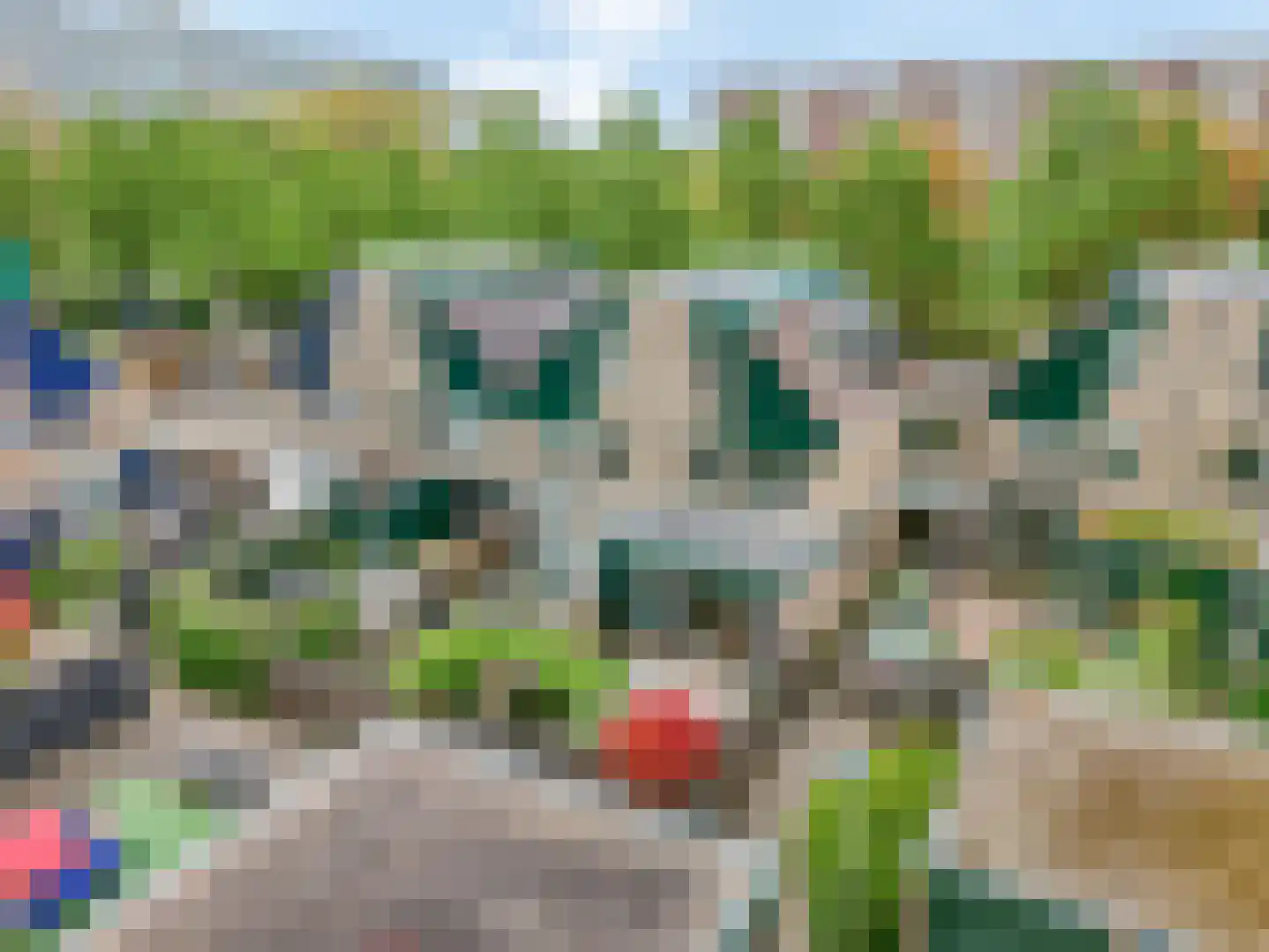 Annadaal 25 Ede thumbnail 46