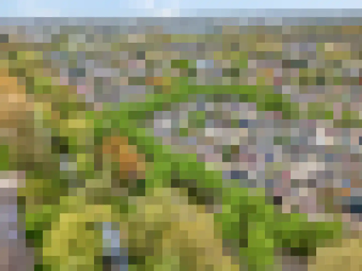 Annadaal 25 Ede thumbnail 50