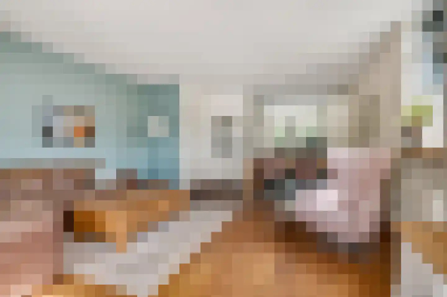 Annadaal 25 Ede thumbnail 7